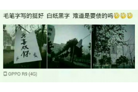 洛阳企业清欠服务